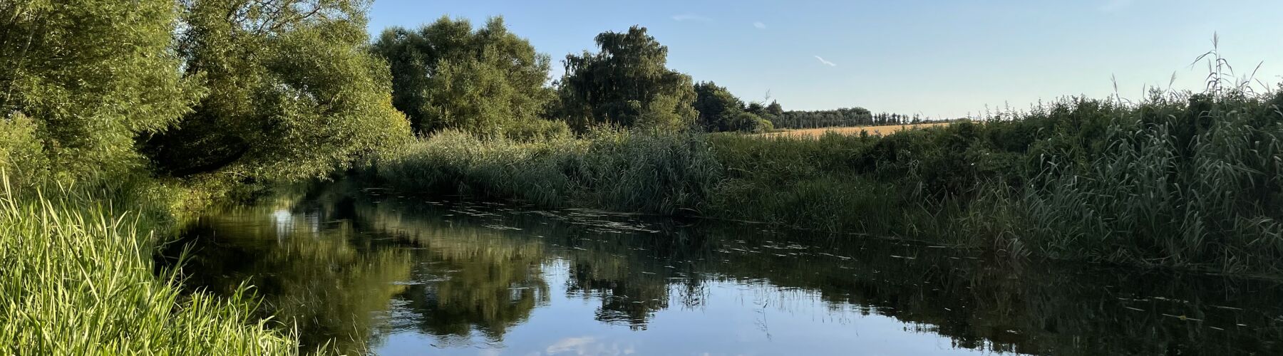 Udsigt over Susåen